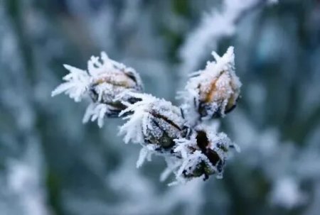 В Гидрометцентре прогнозируют похолодание в России в феврале
