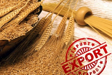 Экспорт продукции агропромышленного комплекса Оренбуржья за минувший 2020 год составил 163,5 млн долларов США