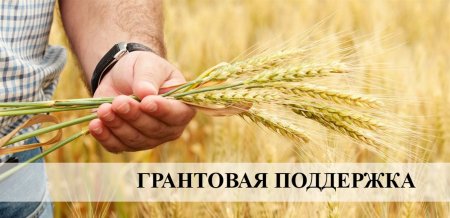 Министерство сельского хозяйства, торговли, пищевой и перерабатывающей промышленности Оренбургской области объявило о проведении конкурса по отбору сельхозтоваропроизводителей, крестьянских (фермерских) хозяйств и граждан для предоставления грантов