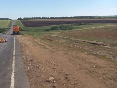 Сотрудниками ГИБДД проводится проверка по факту наезда на пять коров водителем «МАЗ»