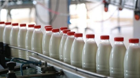 С 1.06.2021 в России начинается обязательная маркировка молочной продукции.
