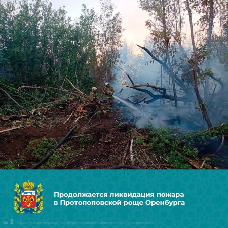 Продолжается ликвидация пожара в Протопоповской роще Оренбурга.