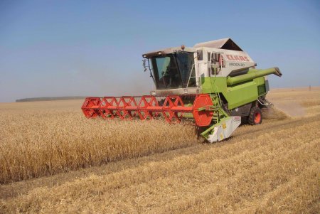 9 августа, аграрии Оренбургской области преодолели рубеж в один миллион тонн зерна нового урожая