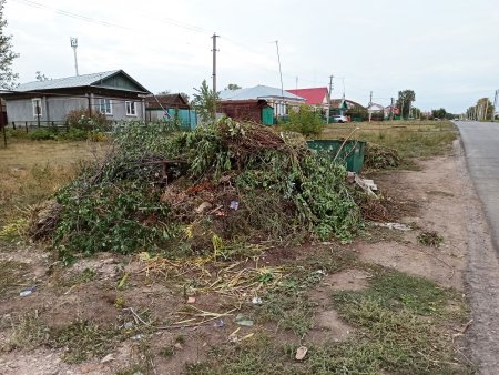 С наступлением осени на территории города в значительной степени увеличивается количество различного рода мусора