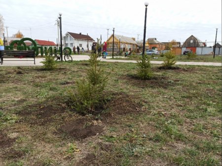 В сквере по ул. Красноармейская в городе Абдулино прошёл очередной экологический субботник по озеленению территории