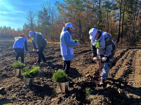 В Оренбургской области этой весной высадят более 2-х млн деревьев.