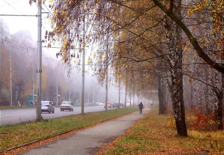 В субботу, 15 октября, на территорию Оренбуржья придут туман и похолодание.