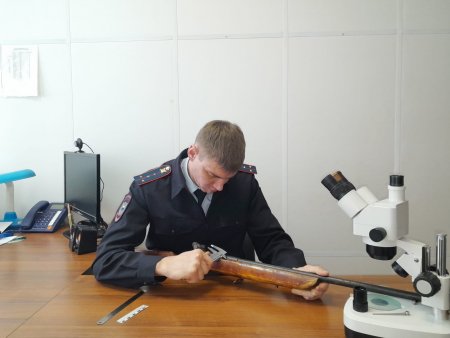 В Матвеевке возбуждено уголовное дело по факту незаконного оборота оружия
