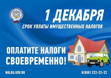 У жителей Оренбургской области, как и у всех россиян, остался последний день, чтобы заплатить имущественные налоги!