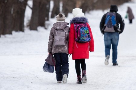 Каникулы у оренбургских школьников могут продлиться из-за сильных морозов