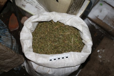 Полицейские Абдулино изъяли у местного жителя более 5 килограмм марихуаны