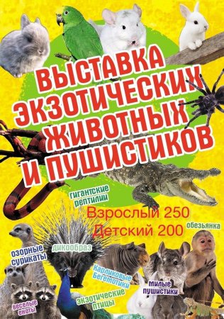 Абдулино, встречай! С 29 марта по 7 апреля (включительно) пройдет выставка экзотических животных и пушистиков!